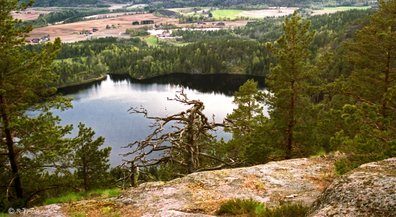 Damvann, Hedrum Vestfold